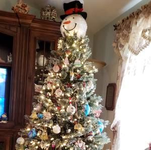 Meet your Posher, Shelly